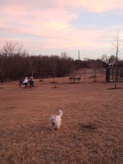 Paloma Creek Dog Park - Little Elm, TX
