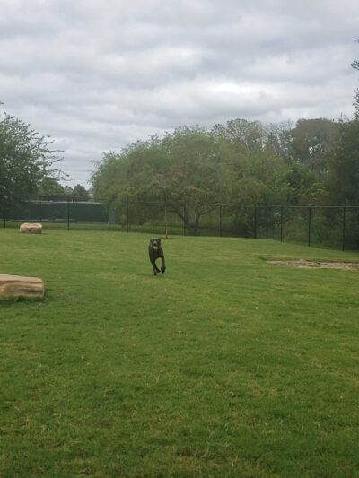 Paloma Creek Dog Park - Little Elm, TX