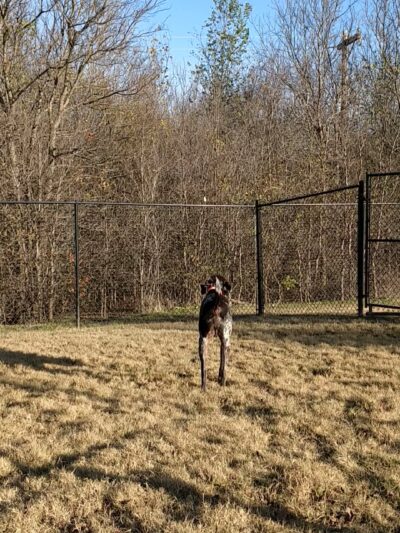 Paloma Creek Dog Park - Little Elm, TX
