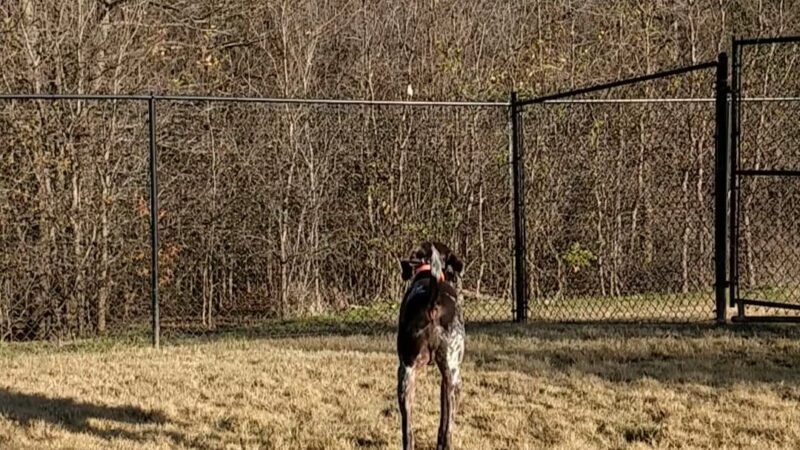 Paloma Creek Dog Park - Little Elm, TX