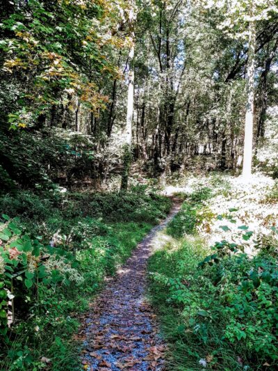 Morris Canal Park - Little Falls Township, NJ