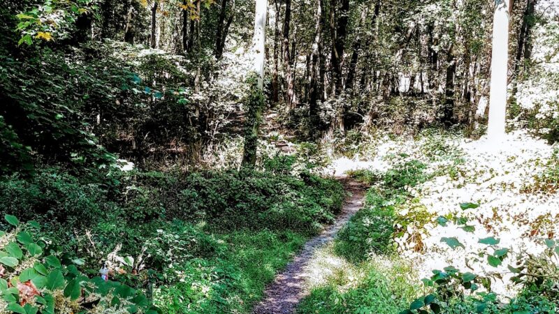 Morris Canal Park - Little Falls Township, NJ