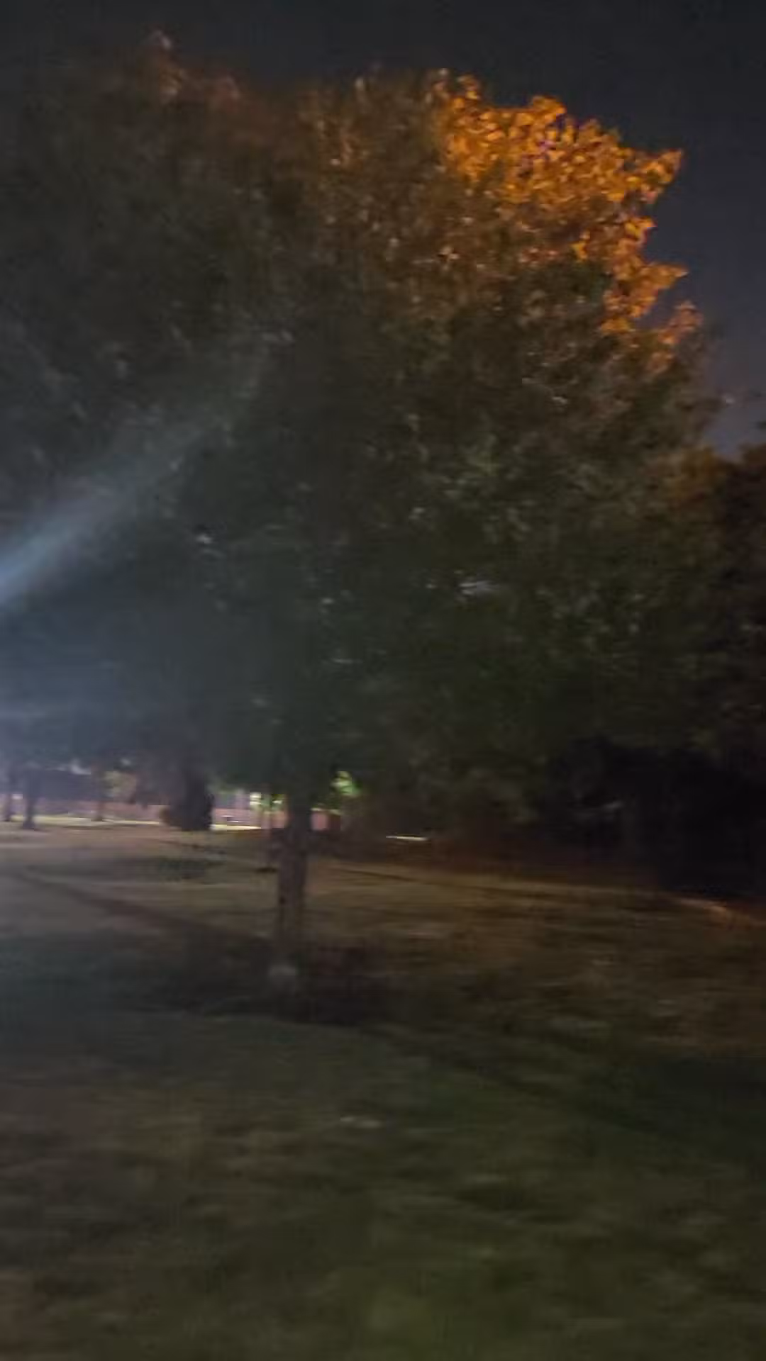 Little Ferry, Playground - Little Ferry, NJ