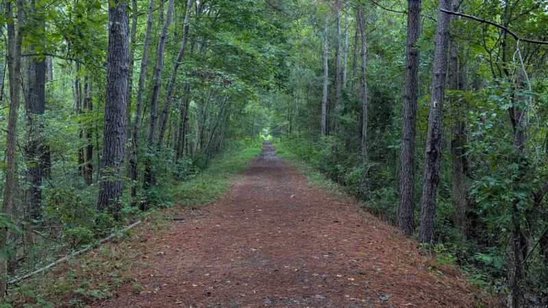 Alston Trailhead - Palmetto Trail - Little Mountain, SC