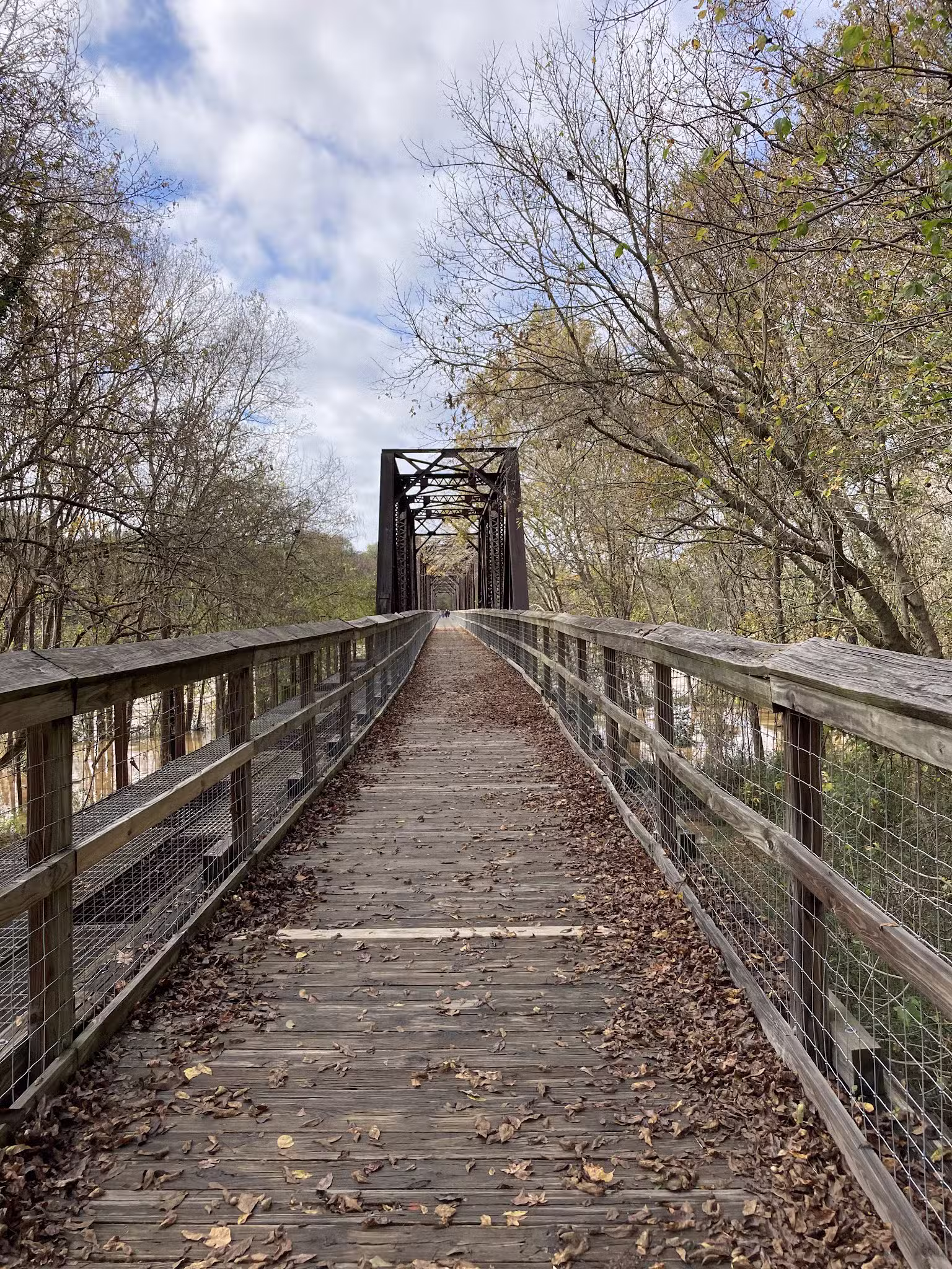 Alston Trailhead - Palmetto Trail - Little Mountain, SC