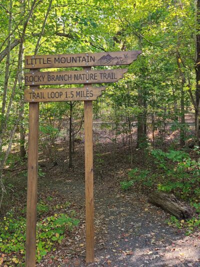 Rocky Branch Natural Area - Little Mountain, SC