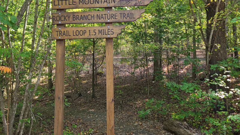Rocky Branch Natural Area - Little Mountain, SC