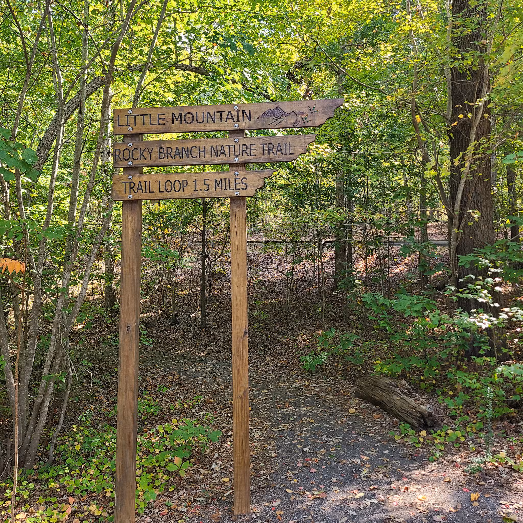 Rocky Branch Natural Area - Little Mountain, SC