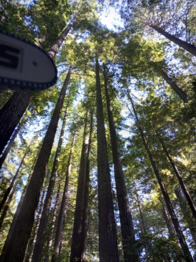 Crescent Park - Littlefield, TX