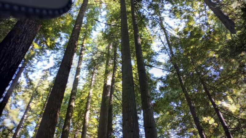 Crescent Park - Littlefield, TX