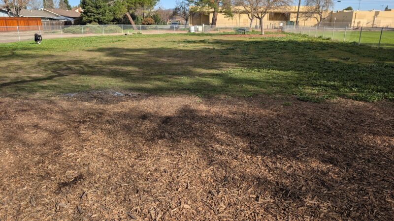 May Nissen Dog Park - Livermore, CA