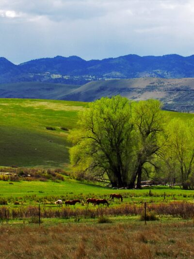 Eagle's Nest Open Space - Livermore, CO