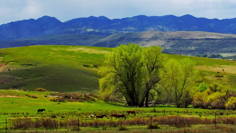 Eagle's Nest Open Space - Livermore, CO