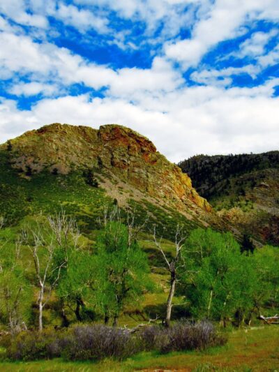 Eagle's Nest Open Space - Livermore, CO