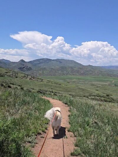Eagle's Nest Open Space - Livermore, CO