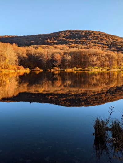Alder Lake Trailhead Parking - Livingston Manor, NY