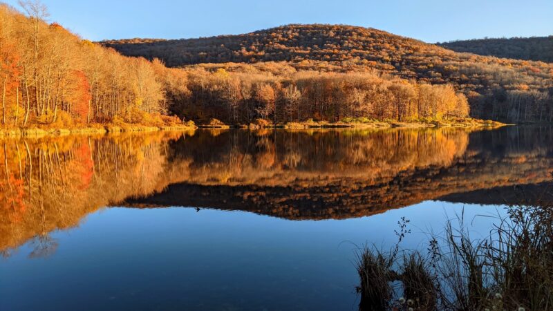 Alder Lake Trailhead Parking - Livingston Manor, NY