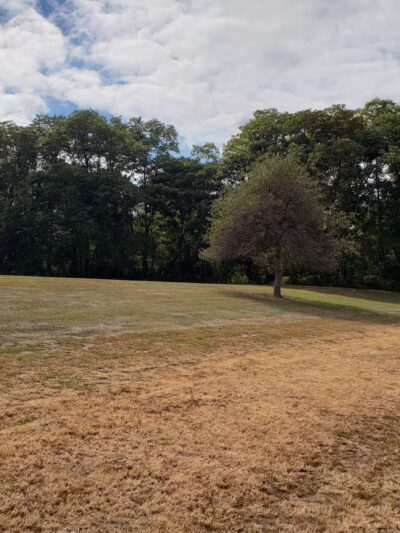 Castanea Fire Company Picnic Grounds - Lock Haven, PA