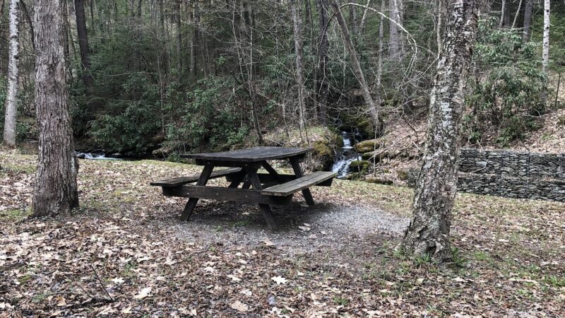 Upper Pine Bottom State Park - Lock Haven, PA