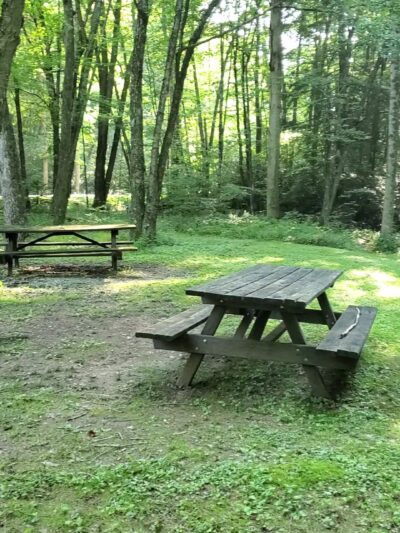 Upper Pine Bottom State Park - Lock Haven, PA