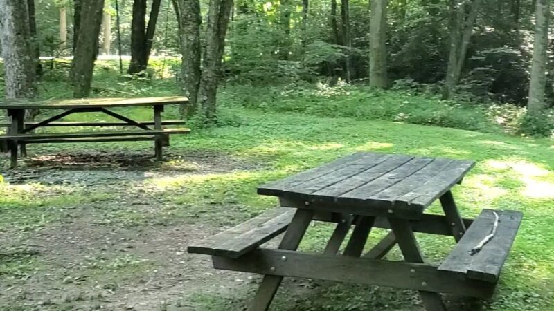 Upper Pine Bottom State Park - Lock Haven, PA