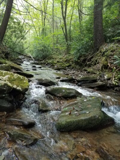Upper Pine Bottom State Park - Lock Haven, PA