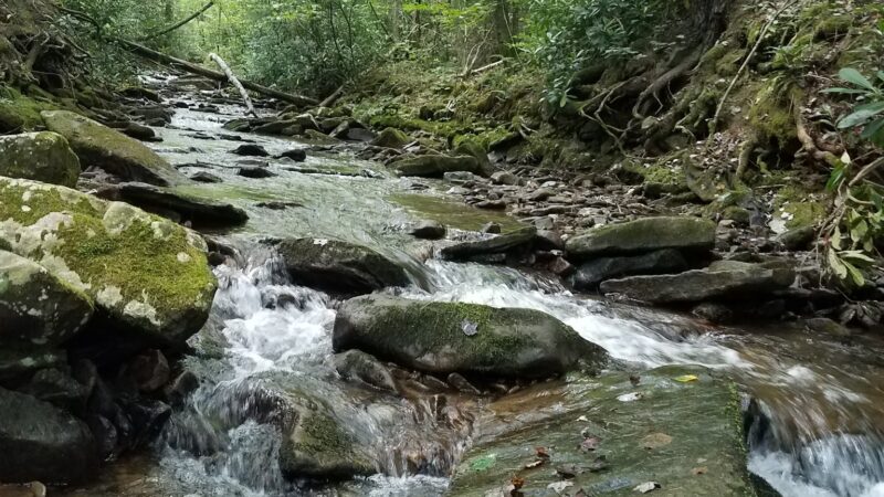Upper Pine Bottom State Park - Lock Haven, PA