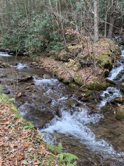 Upper Pine Bottom State Park - Lock Haven, PA