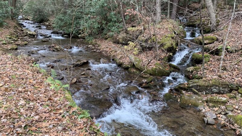 Upper Pine Bottom State Park - Lock Haven, PA