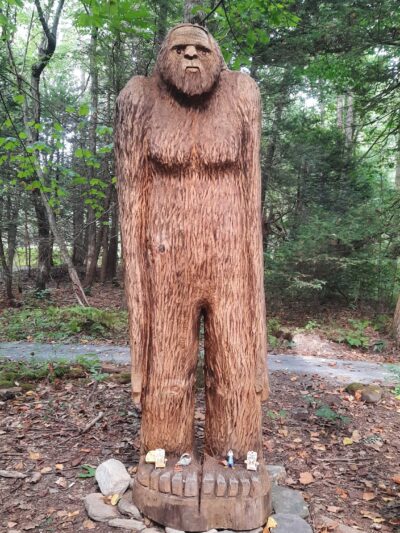 Wayne Township Nature Park - Lock Haven, PA