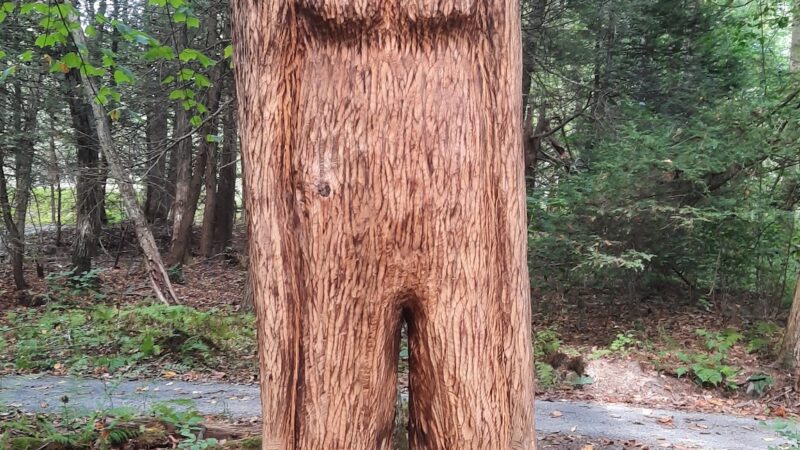Wayne Township Nature Park - Lock Haven, PA