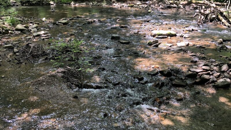 Wayne Township Nature Park - Lock Haven, PA