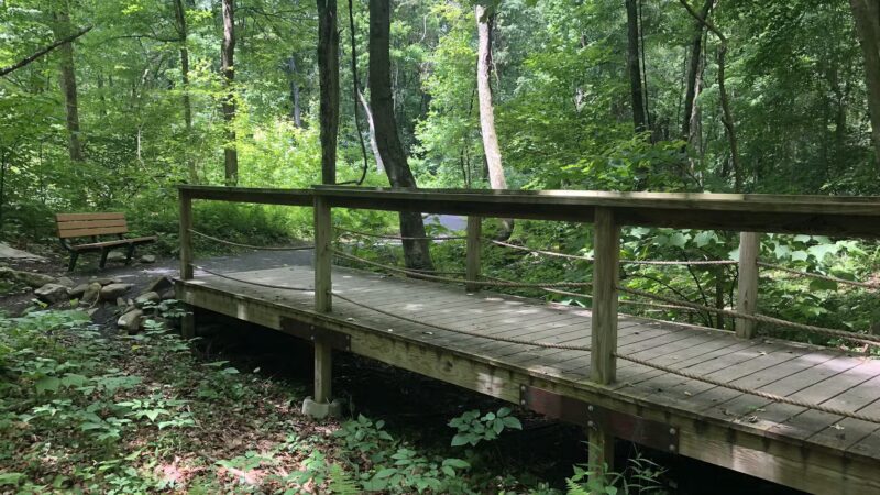 Wayne Township Nature Park - Lock Haven, PA
