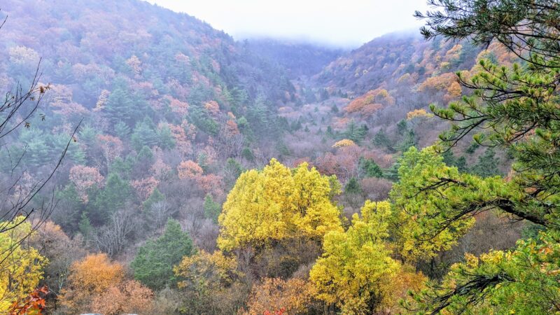 Zindel Park - Lock Haven, PA