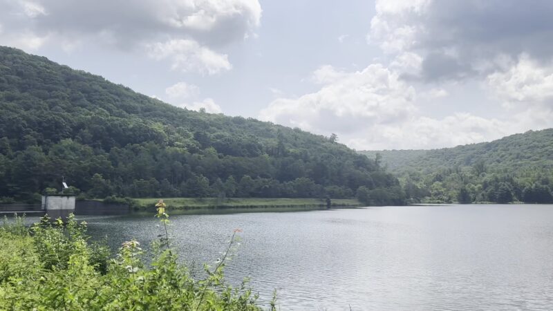 Zindel Park - Lock Haven, PA