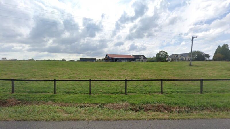 Freedom Fields Farm - Locust Dale, VA