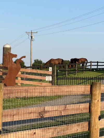 Freedom Fields Farm - Locust Dale, VA