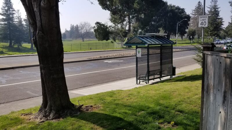 Beckman Park - Lodi, CA