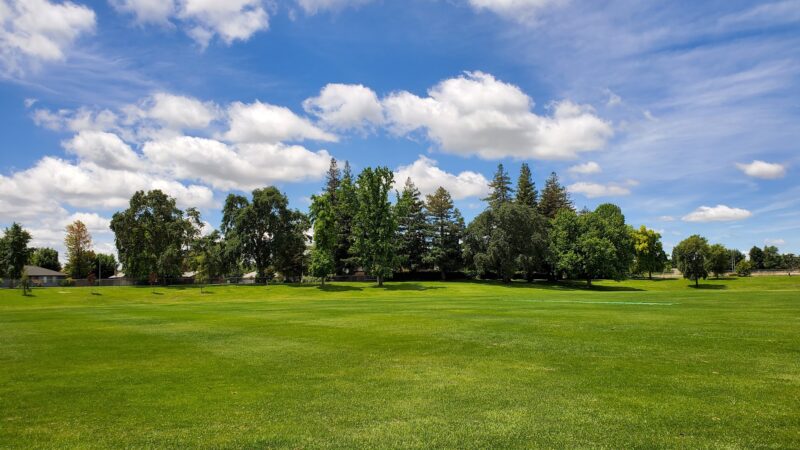 Beckman Park - Lodi, CA
