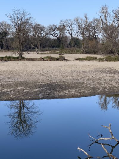 Lodi Lake Wilderness Area - Lodi, CA