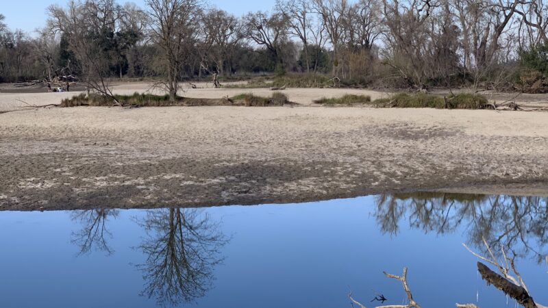 Lodi Lake Wilderness Area - Lodi, CA