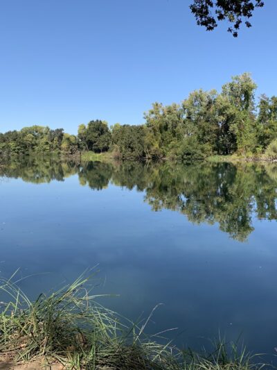 Lodi Lake Wilderness Area - Lodi, CA