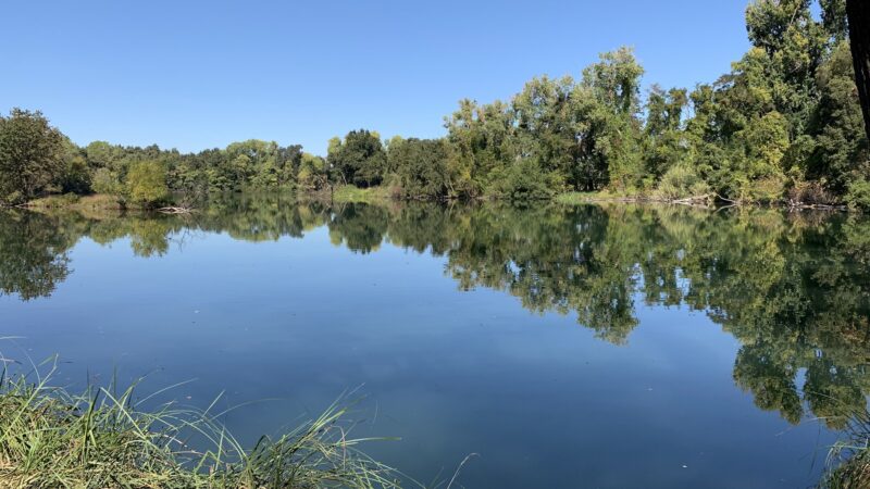 Lodi Lake Wilderness Area - Lodi, CA