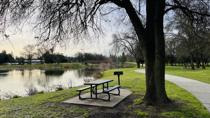 Micke Grove Park - Lodi, CA