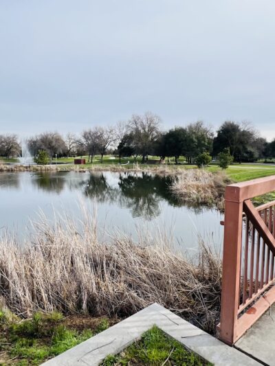 Micke Grove Park - Lodi, CA