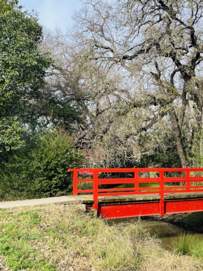 Micke Grove Park - Lodi, CA