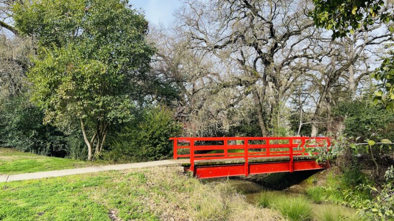 Micke Grove Park - Lodi, CA