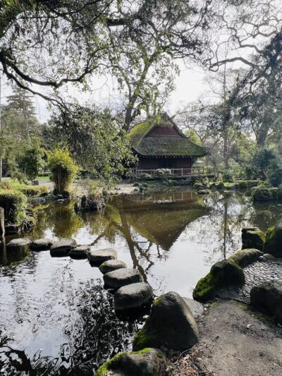 Micke Grove Park - Lodi, CA