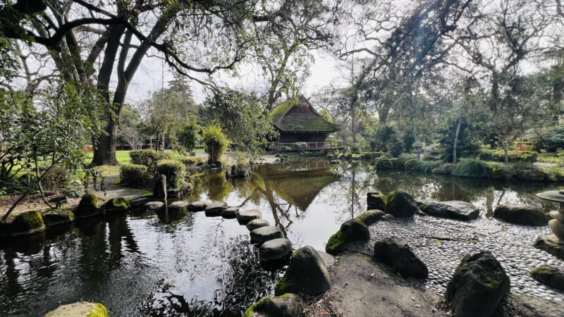 Micke Grove Park - Lodi, CA