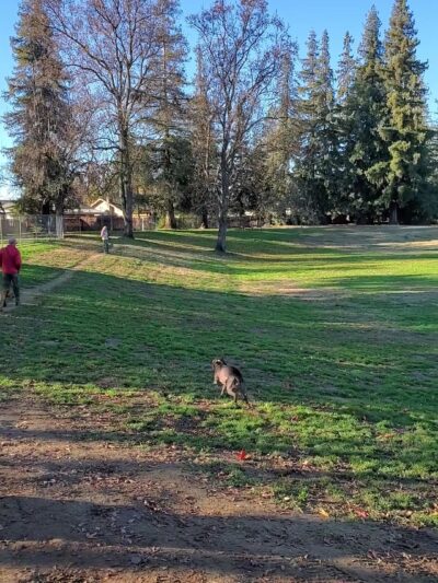 Vinewood Park - Lodi, CA
